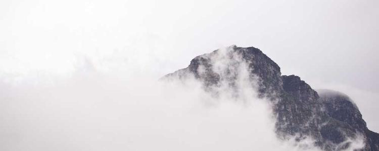 蘑菇视频官网 - 海量高清短视频